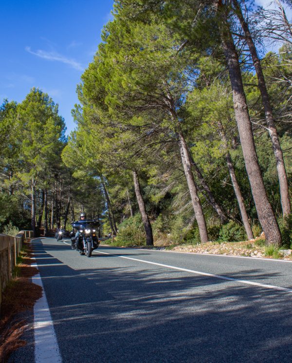 Bike Week Mallorca 2022 By Perfect Tours (44)