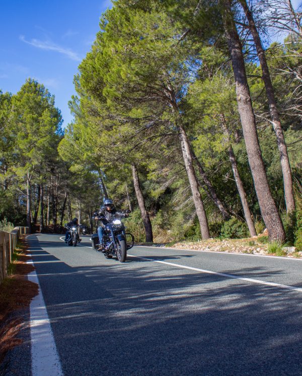 Bike Week Mallorca 2022 By Perfect Tours (45)