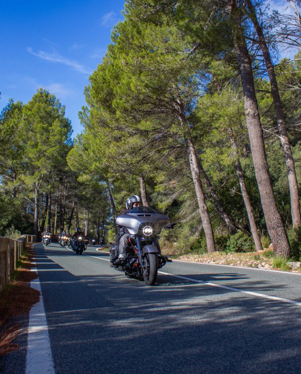 Bike Week Mallorca 2022 By Perfect Tours (47)