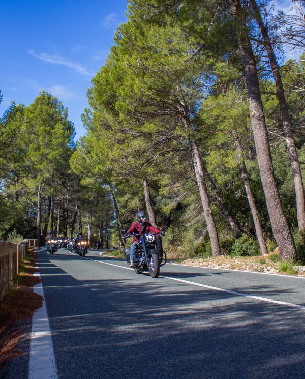 Bike Week Mallorca 2022 By Perfect Tours (48)