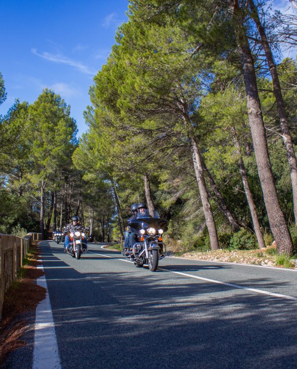 Bike Week Mallorca 2022 By Perfect Tours (49)