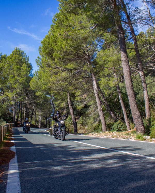 Bike Week Mallorca 2022 By Perfect Tours (54)