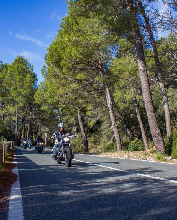 Bike Week Mallorca 2022 By Perfect Tours (55)