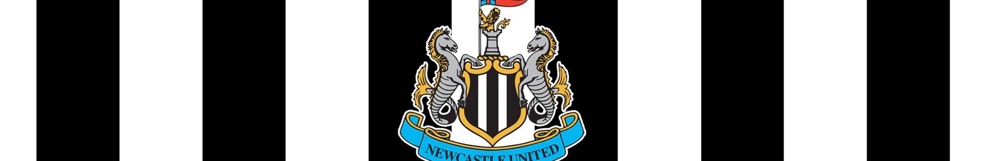 Fussballreisen, Newcastle United, Perfect Tours ( (3)