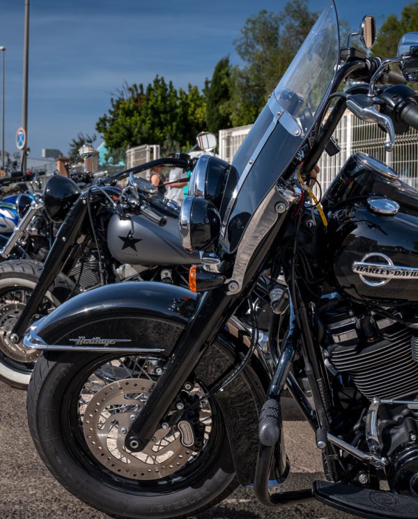 Harley Davidson Bike Week Mallorca By Perfect Tours (34)