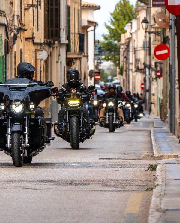 Harley Davidson Bike Week Mallorca By Perfect Tours (60)