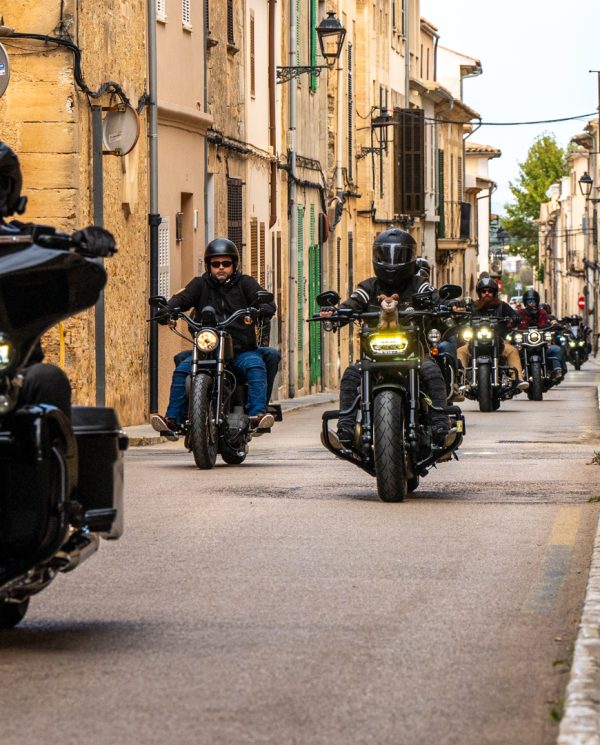 Harley Davidson Bike Week Mallorca By Perfect Tours (61)