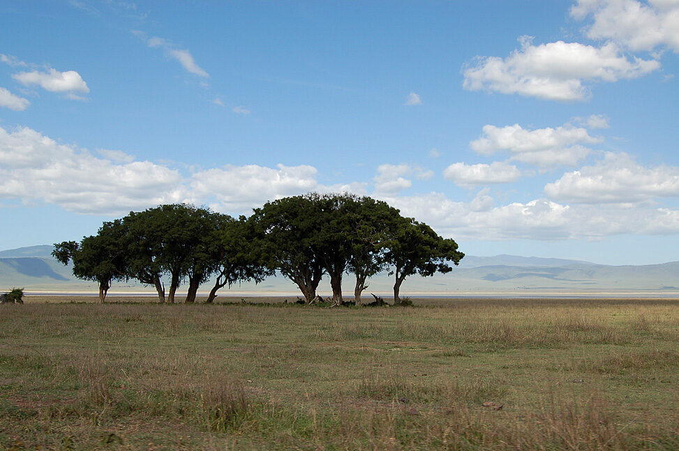 Kili4 20110705 0144 (4)