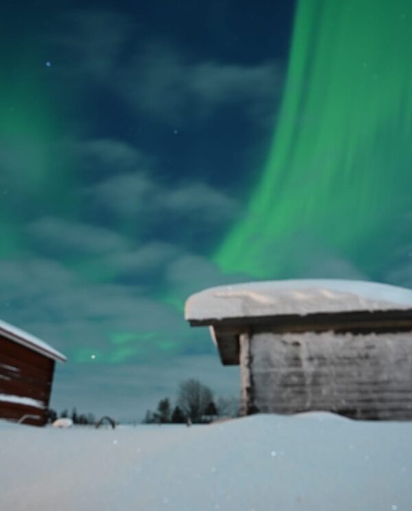 Schneemobil Reise Lappland Perfect Tours (108)