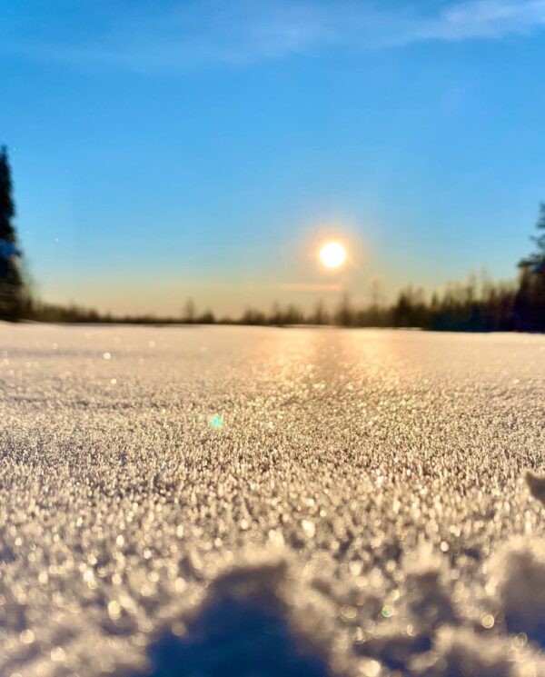 Schneemobil Reise Lappland Perfect Tours (44)