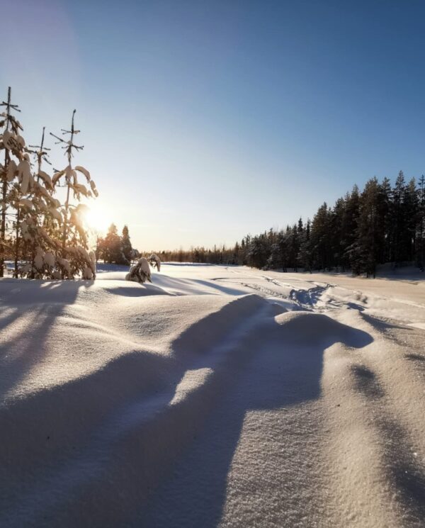 Schneemobil Reise Lappland Perfect Tours (55)