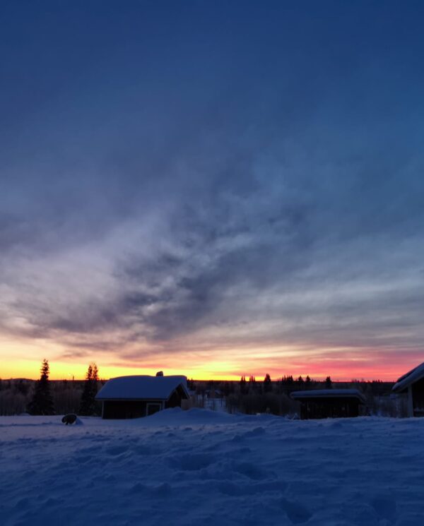 Schneemobil Reise Lappland Perfect Tours (58)