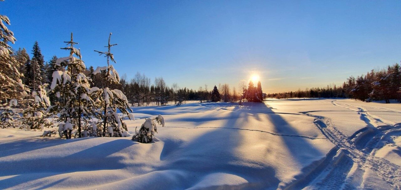 Schneemobil Reise Lappland Perfect Tours (65)