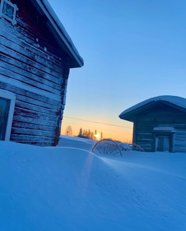 Schneemobil Reise Lappland Perfect Tours (67)
