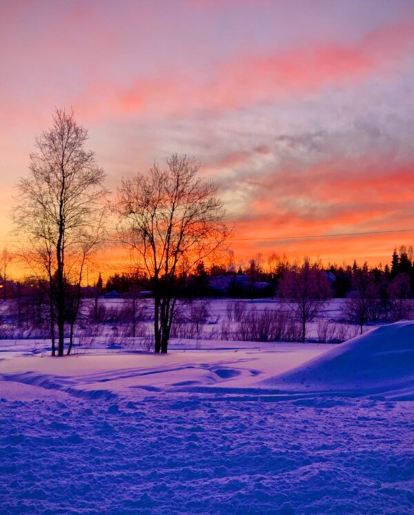 Schneemobil Reise Lappland Perfect Tours (70)