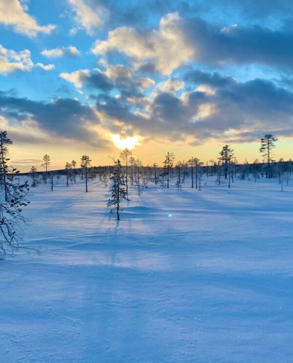 Schneemobil Reise Lappland Perfect Tours (74)