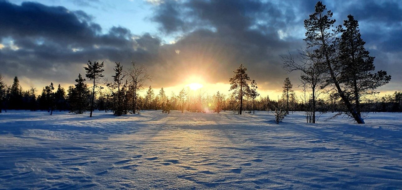 Schneemobil Reise Lappland Perfect Tours (84)
