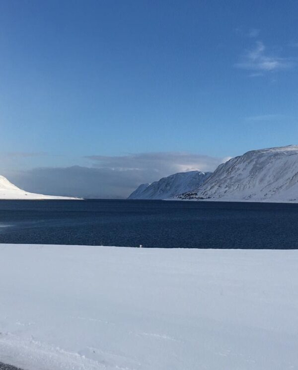 Schneemobil Reise by Perfect Tours