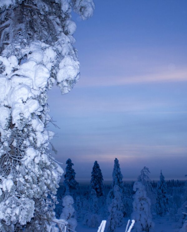 Perfect Tours Schneemobil Reise Finnland Norwegen Nordkap (1)
