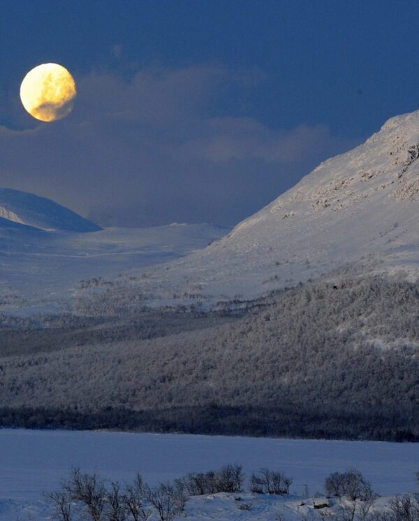 Perfect Tours Schneemobil Reise Finnland Norwegen Nordkap (9)