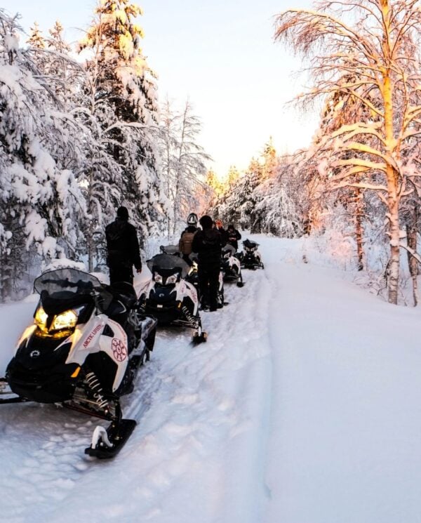 Schneemobi Reise Finnland By Perfect Tours (26)
