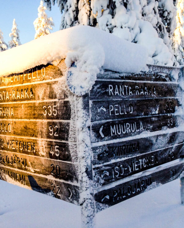 Schneemobi Reise Finnland By Perfect Tours (34)