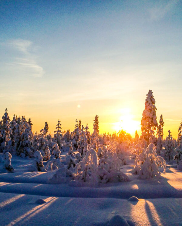 Schneemobi Reise Finnland By Perfect Tours (35)