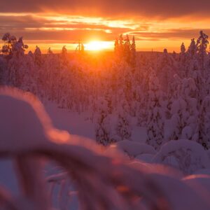 Schneemobil Adventure Perfect Tours Schneemobil Adventure Reisen Finnland (18)