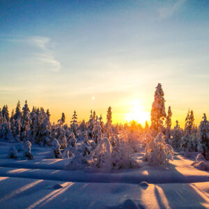 Schneemobil Adventure Perfect Tours Schneemobil Adventure Reisen Finnland (35)