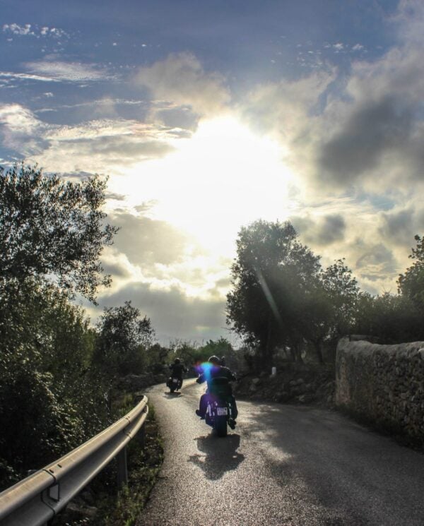 Mallorca Harley Reise Bike Week (34)