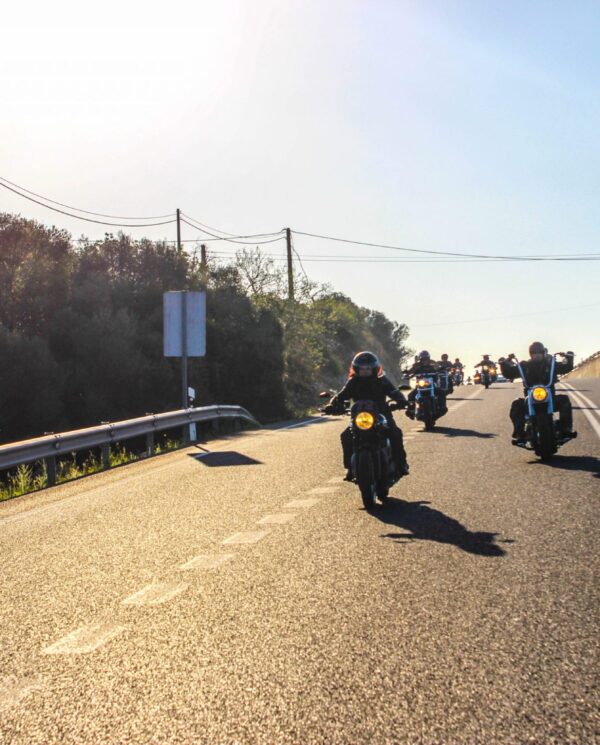 Mallorca Harley Reise Bike Week (12)
