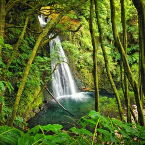 Wander- und Trekkingreisen, Azoren, Perfect Tours