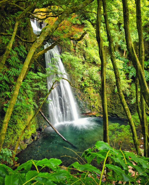 Wander- und Trekkingreisen, Azoren, Perfect Tours