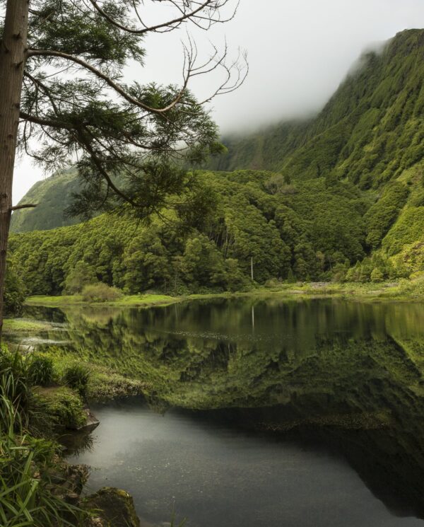 Wander- und Trekkingreisen, Azoren, Perfect Tours