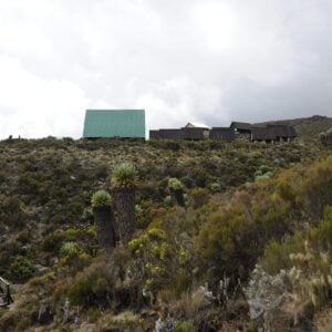 Trekking, Reise, Kilimanjaro, Perfect Tours 1 (24)
