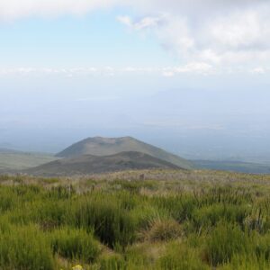 Trekking, Reise, Kilimanjaro, Perfect Tours 1 (25)