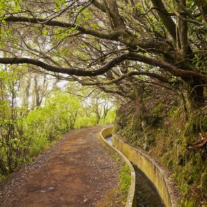 Wander- und Trekkingreisen, Madeira, Wander, Reisen, Trekking, Portungal, Perfect Tours