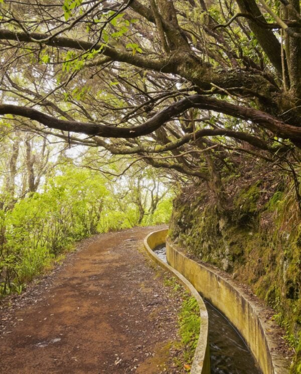 Wander- und Trekkingreisen, Madeira, Wander, Reisen, Trekking, Portungal, Perfect Tours