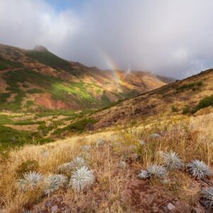 Wander- und Trekkingreisen, Madeira, Wander, Reisen, Trekking, Portungal, Perfect Tours