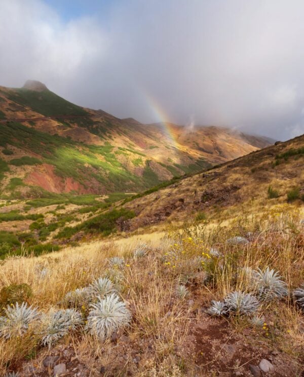 Wander- und Trekkingreisen, Madeira, Wander, Reisen, Trekking, Portungal, Perfect Tours