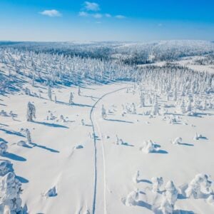Schneemobil Adventure - Perfect Tours - Schneemobil Adventure Reisen - Finnland - Safari - Tour - Lappland