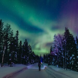 Schneemobil Adventure - Perfect Tours - Schneemobil Adventure Reisen - Finnland - Safari - Tour - Lappland