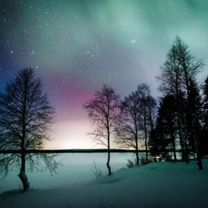 Schneemobil Adventure - Perfect Tours - Schneemobil Adventure Reisen - Finnland - Safari - Tour - Lappland
