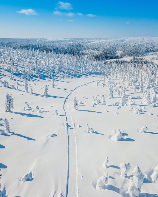 Schneemobil Adventure - Perfect Tours - Schneemobil Adventure Reisen - Finnland - Safari - Tour - Lappland