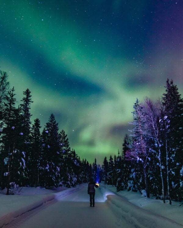 Schneemobil Adventure - Perfect Tours - Schneemobil Adventure Reisen - Finnland - Safari - Tour - Lappland