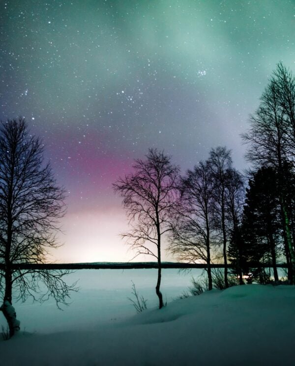 Schneemobil Adventure - Perfect Tours - Schneemobil Adventure Reisen - Finnland - Safari - Tour - Lappland