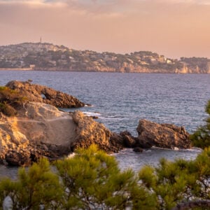 Harley Davidson Bike Week Mallorca By Perfect Tours (54)
