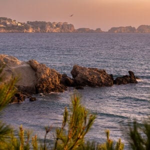 Harley Davidson Bike Week Mallorca By Perfect Tours (55)