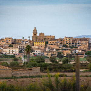 Harley Davidson Bike Week Mallorca By Perfect Tours (3)