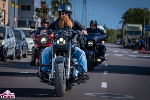 Harley Davidson Bike Week Mallorca By Perfect Tours (43)